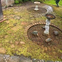 Pressure Washing Cleaning Before