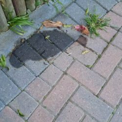 Oil stain removal service